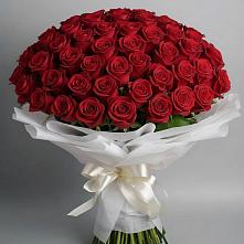 Букет 101 Красная роза Блэк Мэджик в Мышкине