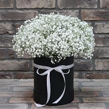 Цветочная композиция из Гипсофила в шляпной коробке в Мышкине