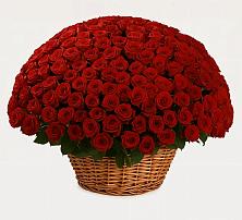 Премиум букет из: Розы #REPLACE_PRED# Мышкине