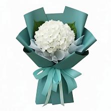 Букет цветов из:  Гортензия в Мышкине